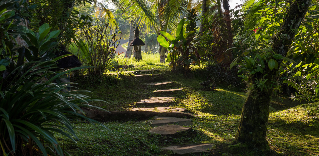 meditation bali