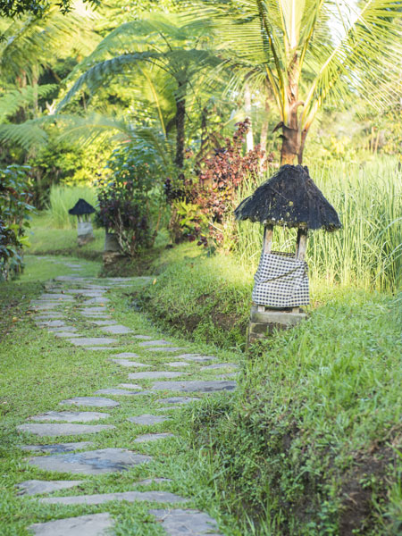 meditation bali