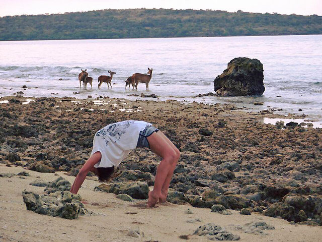 Yoga menjangan bali